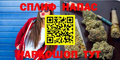 бошки Шебекино