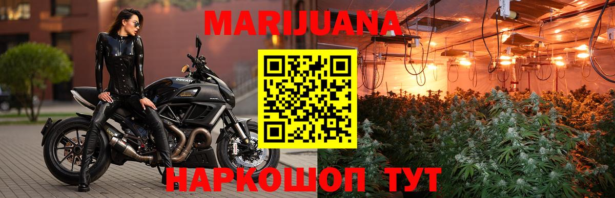 Конопля ГИДРОПОН  Вход с VPN  Канабис планчик  Добрянка  Шишки марихуана конопля 